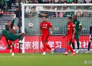 开云体育app-上港险胜鲁能，团结拼搏，抢得宝贵三分的简单介绍