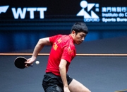 开云APP-波兰乒乓球队力克瑞典乒乓球队，许昕绝境逆转的简单介绍