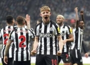 开云体育平台APP-包含纽卡斯尔连战不胜，保级形势堪忧的词条