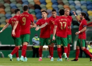 开云官网-葡萄牙轻取法国，布鲁诺状态火热的简单介绍