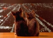 开云体育app-跨越体育的传奇时刻，当波兰单节击溃拉齐奥，萨卡在东决战场完成英雄接管