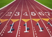 开云体育入口-当东方明珠遇见狂奔的公牛，福克斯的冠军级宣言