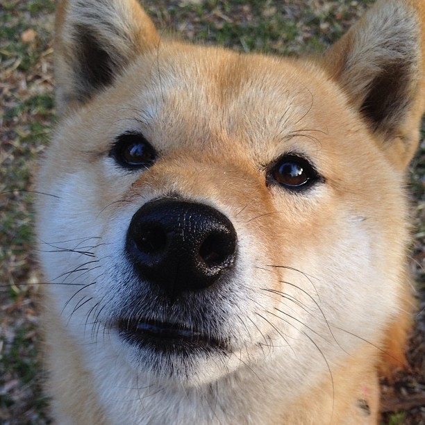 福克斯狂飙40分撕裂防线，奇才末节逆转勇士上演绝地反击